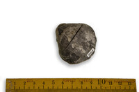 F 00208
<br/>
<br/>
<em></em>